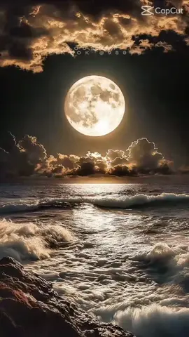 #ليس_الشتاءوحده_برد🌹❣️❤️🌹