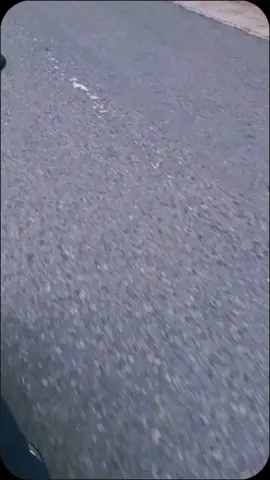 healing untuk hilang👻#CapCut #fyp#pohonpinustoraja 