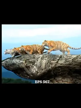 Karina mulai berulah kirain udh tobat  #7manusiaharimau #ochirosdiana #fypage #foryouu #fyp #rantymaria #samuelzlygwyn #pitaloka7manusiaharimau 