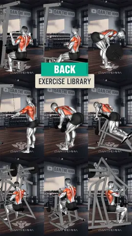 Top  9 BACK Exercises #backexercise #danthehinh #gym #GymTok #foryou #taplung #baitaplung 