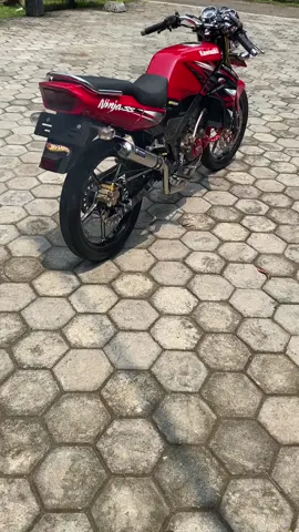 Sak lagu njuk bleyerrr #ninjass #foryoupage 