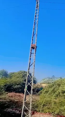 #Shakari😂😂#Viral #Tiktok #Trending 