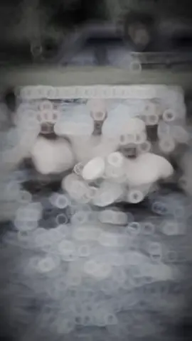 Truy kỉ truy kỉ #xuhuong #suhuongtiktok #xh 