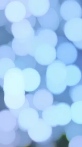 যারা বলেন মাকস খুলেন ভাই তাদের জন্য.!! আমি দেখতে সুন্দর না গো.!! 🥰🌸🥀 #CapCut #viralvideo #tending #tending_song #foruyou #forupage #tiktok #bangladesh🇧🇩 #bdtiktokofficial🇧🇩 #vairal #jibonchowdhury2_ @TikTok @For You House ⍟ @For You 