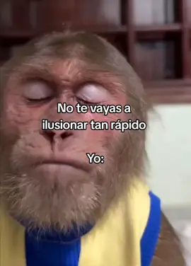 #parati #monkey #fyp #triste #enamorado #potaxie 