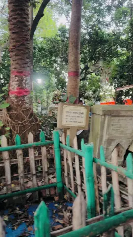 এটার কথা ভুলো নি তো? শেষ ঠিকানা 😊❤️‍🩹 #xuper_jisan #foryoupage #foryou #viralvideo 