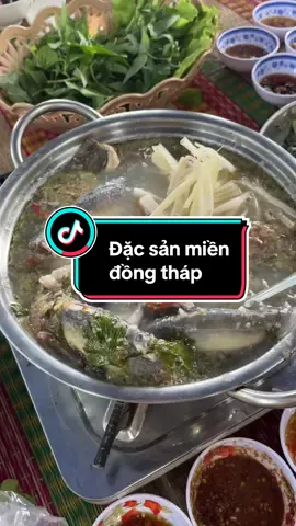 Mời cả nhà lẩu mẻ cá trạch,lươn đồng,ếch đồng nha….#miềntayquetoi #đồngthap66 #mồingon #ănnhậu 