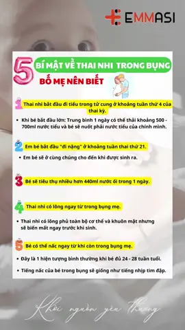 BÍ MẬT VỀ THAI NHI TRONG BỤNG MẸ BẦU. #emmasivn #mebauthongthai #thainhi #mangthai #mebau