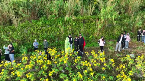 Ba Vì và Hoa Dã Quỳ ngày chủ nhật tắc nghẽn vì anh em đi họp lớp 🤣 #dinhdang_fpv #drone #dronefpv #Flowstylefpv #xuhuong #travel #bavi #hoadaquy #vuonquocgiabavi #fpy #viral 