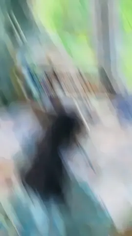 তোমার বন্ধুকে মেনশন দিয়ে যাও.. 😂                   #bdtiktokofficial🇧🇩 #bdtiktokofficial🇧🇩 #foryoupage #foryoupage #bts_official_bighit #bts_official_bighit #foryoupage #bdtiktokofficial🇧🇩 #bts_official_bighit #foryoupage #bdtiktokofficial🇧🇩 