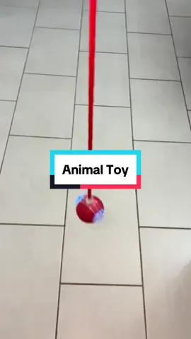 This is meant to be for cats but my brother gave it to the dog and he said he played with it all day!! I’d chase it around all day too haha 😅😅 #animaltoy #cats #dogs #tiktokmademebuyit #blackfriday 