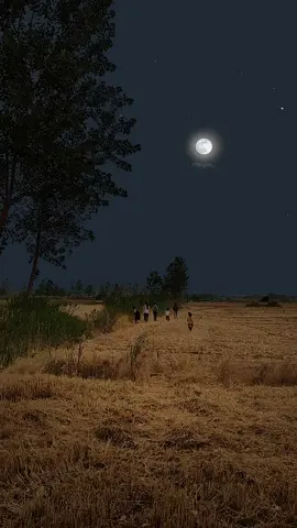 cánh đồng sau mùa gặt thường là nơi để bọn trẻ con vui đùa, nhớ ngày xưa cánh đồng này còn là sân bóng của chúng tôi nữa đấy #canhque #kyuc #xuhuong #binhyen 