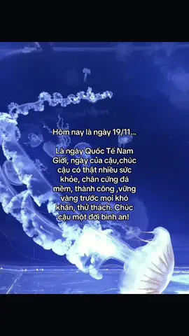 #quoctedanong #fyp #xhtt #fypシ #story 