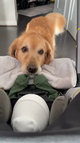 Ellie greeting Connor 🥹