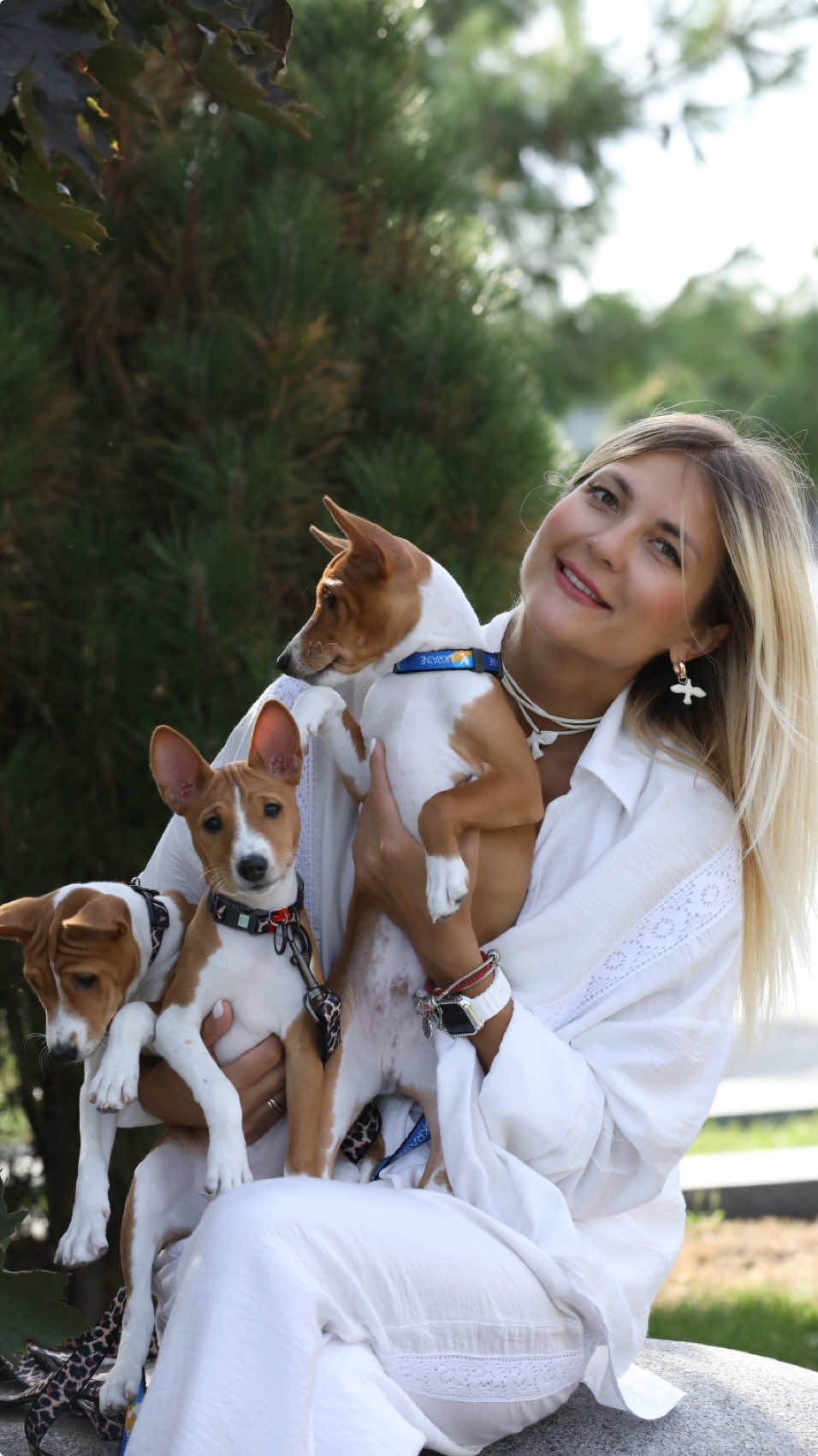 Басенджі не лають, вони розмовляють😂🐾🐾🐾  ♀️ INFINITY LUXURY CORNUCOPIA aka Basya ♀️ INFINITY LUXURY CINNAMON aka Emma ♂️INFINITY LUXURY CAPTAIN AMERICA aka Casper #infinityluxurykennel  #infinitybewitchinggrace #басенджи #basenji  #basenjiukraine #showbasenji #showdog  #puppiesbasenji #ukraine  #basenjiukraine #basenji #basenjipuppy #basenjihome  #basenjidnipro #basenjiworld #басенджи #собака #породабасенджи #басендживтиктоке #басенджитоп #басенджилав #basenjidog #badenjis #basenjilover #recomendations #recomendation #rec #рекомендации #рекомендация #рекк #reki #recom #reci #recomendasfilm #реко #хочуврек #хочуврекомендации #хочуврекомендации #рекомендації_тренд #рекомендаціїукраїна #рекомендації🇺🇦