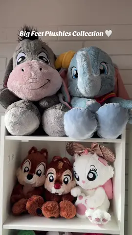 This collection is only getting bigger! I love them. Which one is your favorite? 🫣💕  #disney #disneyplushies #disneyplushie #disneybigfeet #bigfeet #disneyland #disneyworld #plushies #peluches #peluchesdisney 