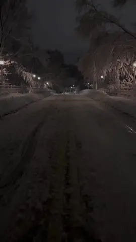 #darknight #night #snowynight #snow #snowwalk #winter #darkaesthetic #darkvibes 