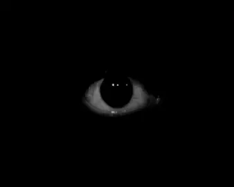 creepy eyes in te dark music  k.o  #hashtag #parati #paratiiiiiiiiiiiiiiiiiiiiiiiiiiiiiiiiiiiiiiiiii #paratiiiiiiiiiiiiiiiiiiiiiiiiiiiiiiiiiii #viralvideo #viral #viraltiktok #paratiiiiiiiiiiiiiiiiiiiiiiiiiiiiiiiiiiiiiiiiii $#paratiiiiiiiiiiiiiiiiiiiiiiiiiiiiiiiiiiiiiiiiii#paratiiiiiiiiiiiiiiiiiiiiiiiiiiiiiiiiii🦋  #paratiiiiiiiiiiiiiiiiiiiiiiiiiiiiiiiiiiiiiiiiii #paratiiiiiiiiiiiiiiiiiiiiiiiiiiiiiiiiiiiiiiiiii #paratiiiiiiiiiiiiiiiiiiiiiiiiiiiiiiiiii🦋 #paratiiiiiiiiiiiiiiiiiiiiiiiiiiiiiiiiii🦋 #paratiiiiiiiiiiiiiiiiiiiiiiiiiiiiiiiiii🦋 #paratiiiiiiiiiiiiiiiiiiiiiiiiiiiiiiiiii🦋 #paratiiiiiiiiiiiiiiiiiiiiiiiiiiiiiiiiii🦋 #paratiiiiiiiiiiiiiiiiiiiiiiiiiiiiiiiiii🦋 #paratiiiiiiiiiiiiiiiiiiiiiiiiiiiiiiiiiiiiiiiiii #paratiiiiiiiiiiiiiiiiiiiiiiiiiiiiiiiiii🦋 #paratiiiiiiiiiiiiiiiiiiiiiiiiiiiiiiiiii🦋 #hashtag #hashtag #parati *#,,$ #hashtag @Wafflelados 