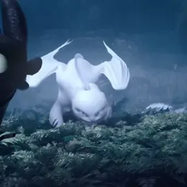 fav dragon for a reason | #httyd #httydedit #httydedits #httydtiktok #thelightfury #lightfury #thelightfuryedit #lightfuryedit #howtotrainyourdragon3 