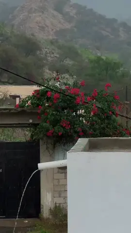 ‏اللهم إني أسألك العافية في الدنيا والآخرة، #foryou #frypgシ #foryoupag 