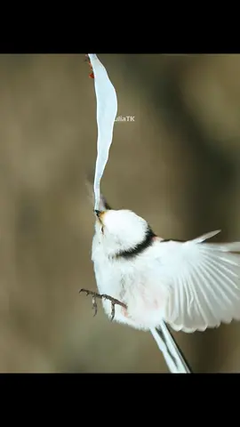Our world is really beautiful #nature #foryoupage 