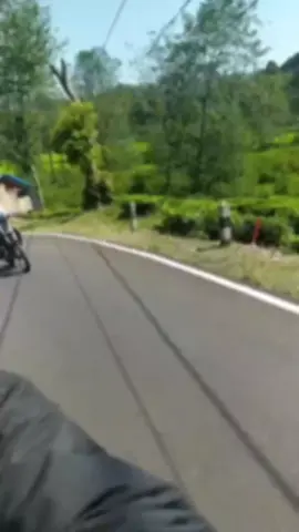 #rxkingindonesia  #kebuntehrancabaliciwidey☘️🌿 #ridingsantai 