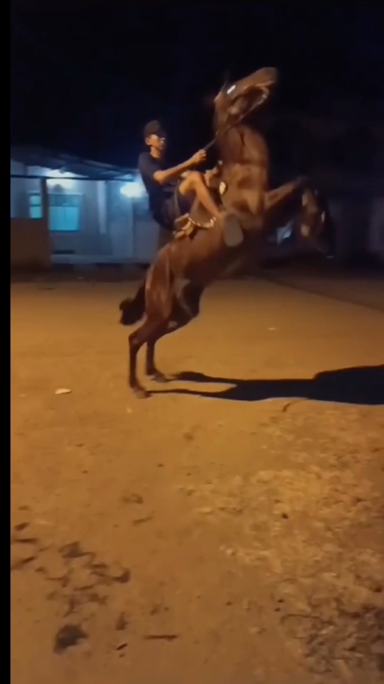 #viral_video #caballostiktok  #caballistasdecorazon 