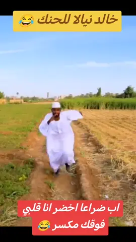 خالد نيالا جاااي يحنك خديجة 😂😂😂 #نيالا_السودان🇸🇩🇸🇩🇸🇩 #دارفور #خالد_نيالا #sudanese_tiktok #دراما_سودانية #fyp @خالد نيالا 