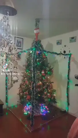 en nuestra casa el árbol debe estar encerrado debido a nuestras bendiciones... #killer🦮 #Roko🐶 #jacob🐈‍⬛ #jasper😼 #bella😸 #samy😻 