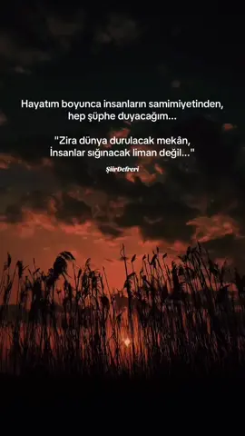 #hayat #söz #şiir #anlamlı #duygusal #anlamlısözler #manalı #güzel #manidar #gerçekhikayeler #hüzünlüvideolar #duygusalvideolar 