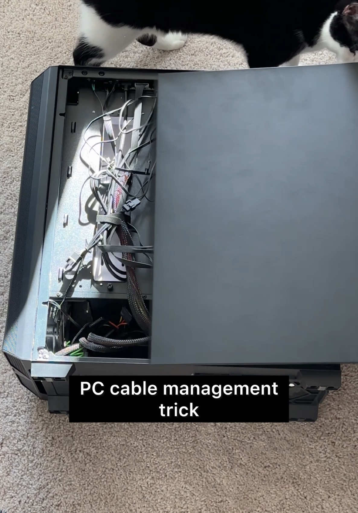 Best PC cable management trick #pcgaming #pcsetup #pcmasterrace #pcbuild #signalrgb #gaming 