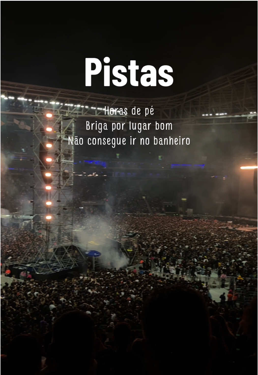 Você é time pista ou arquibancada? Agora 30+ quero so curtir o som sem ser espremida kkkk prefiro as cadeiras 🤣 #arquibancada #pista #arquibancadaxpista #allianzparque #show #linkinparkshow #showlinkinpark 