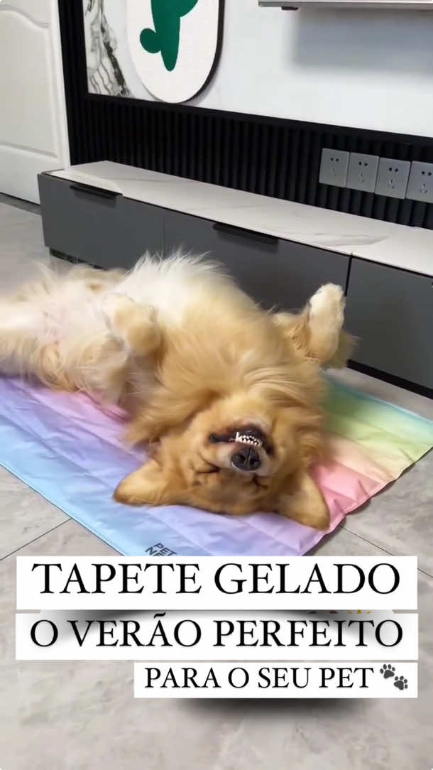 ID SHOPEE :  AKL-HEQ-AQS 🔍  Gostou ? Comente “EU QUERO” para receber o link ou pesquise o ID do produto no seu aplicativo Shopee 🛍️ Siga nosso perfil para acompanhar os melhores achadinhos e ofertas para seu Pet 🐾 #achadinhos #produtosparapet #pet #gatos #cachorro #bemestaranimal #comprinhas #tapetegelado #verao #saudeanimal #maedepet 