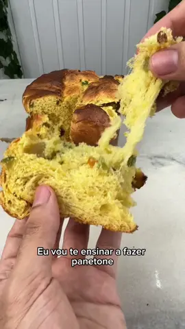 A melhor receita de panettone caseiro! 🥰 Esponja: • 100g Farinha de trigo • 100ml Suco de laranja ou água • 10g Fermento biológico seco Massa: • Esponja • 300g Farinha de trigo • 05 gemas • 100ml Suco Laranja Bahia • 100g Açúcar • 20g Leite em pó • 15g Mel ou Glucose • 5g Sal • 100g Manteiga • 1 col. chá de extrato de baunilha • Raspas 01 laranja Bahia • Raspas 01 limão siciliano • ou 5g essência de panetone. Recheio: •250g Gotas de chocolate ou frutas cristalizadas (para a receita inteira). #receita #panettone #chocotone #natal