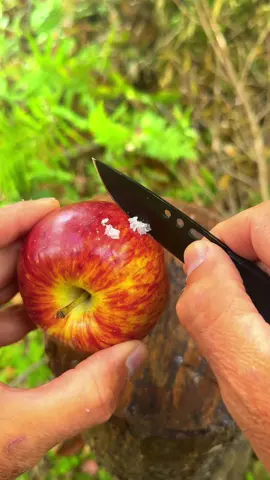 Survival Skills: Wax Firestarter from an Apple and a Broken Lighter. . . . #survival #lifehacks #camping #bushcraft #Outdoors #forest #short 