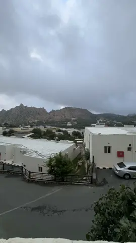 #explore  #لايك #سألت_الريح_ودروب_القوافل 