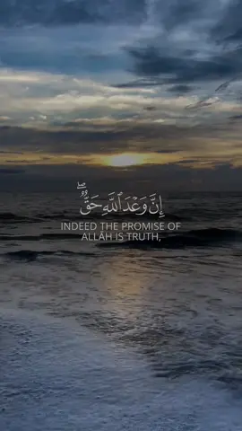 #CapCut #منصور_السالمي #سورة_الفاطر #تلاوة_نادرة #explore #اكتب_شي_توجر_عليه #ان_وعد_الله_حق 