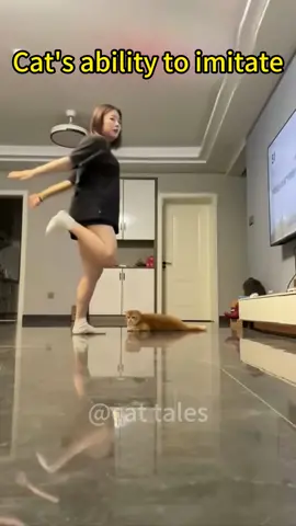Cat imitates human #cat #funny #happy #cute #pet #play #imitate #😂😂😂 