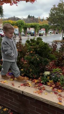 ✨🩵👀 #mom #MomsofTikTok 