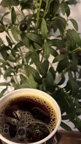 . ‏اسالوه ان كان حر الشوق ماحرك ضميره ‏خبروه إن اللياليّ البـارده للقلب حره ‏ㅤ 🔖🤍#CapCut 