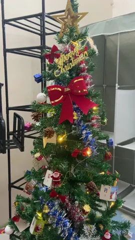 Cây thông noel #xuhuong #xuhuongtiktok #caythongnoel #caythong 