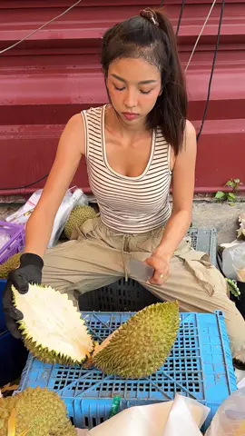 Beautiful Thai Girl's Durian Fruit Cutting Skills  #durian #fruit