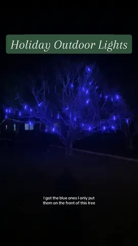 Blue Meteor Holiday Lights! Deck your yard out with the most beautiful holiday christmas lights! You will be the talk of your neighborhood! #meteorshowerlights #meteorshowerlightsoutdoor #bluechristmas #christmaslights #holidaylights #tiktokshopblackfriday #tiktokshopcybermonday #tiktokshopholidayhaul #bfcm #pemotech 