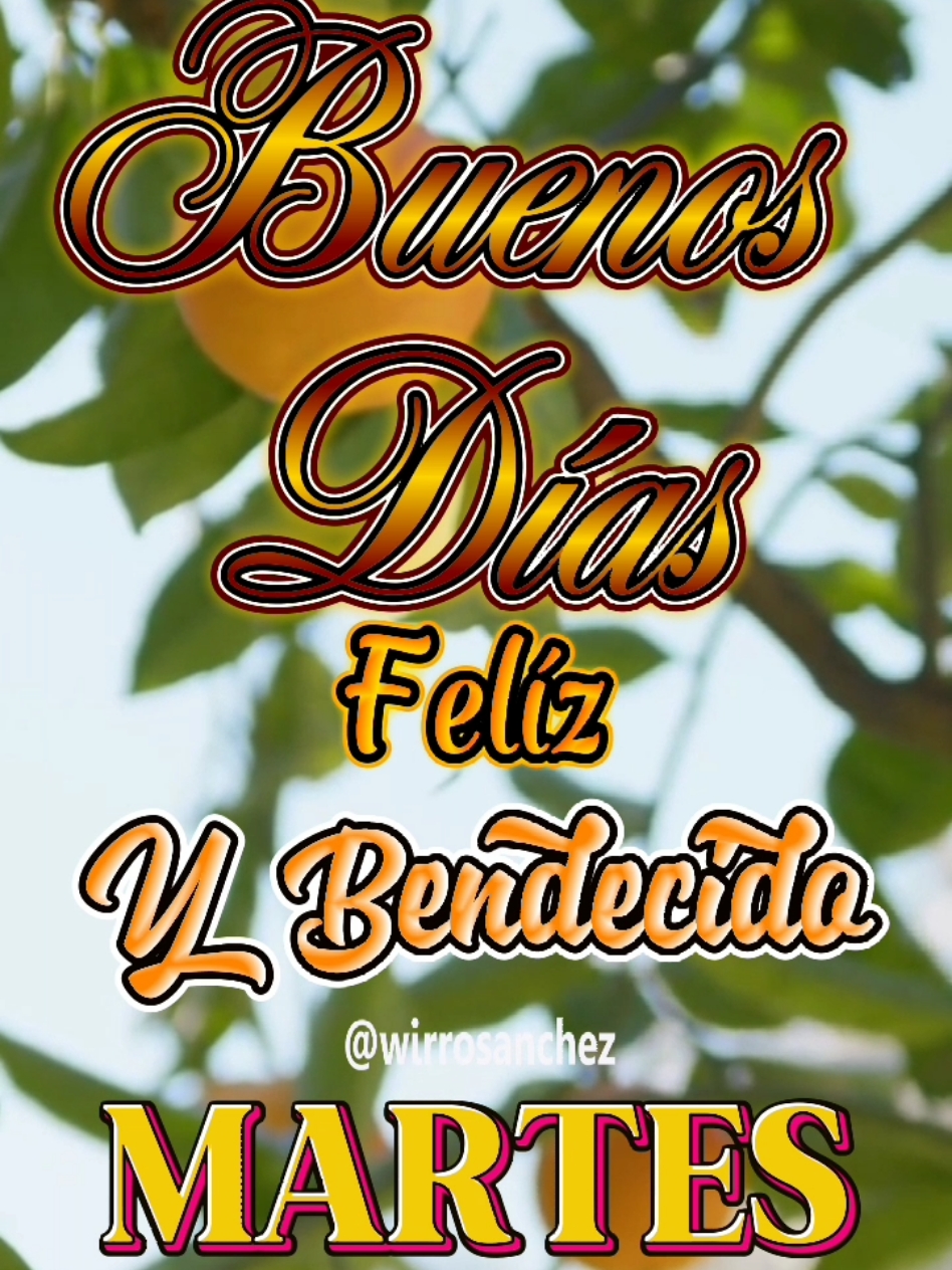 Felíz y Bendecido Martes #buenosdias #felizdia #videoviral #parati #fypシ゚ #martes #felizmartes #bendiciones 