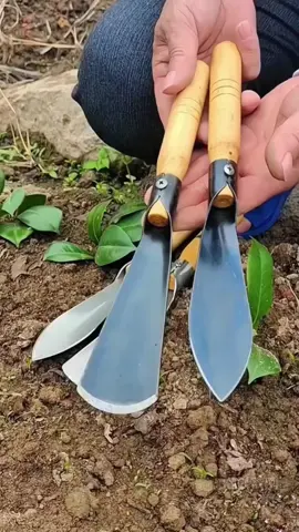 cố gắng sẽ vượt qua tất cả mn ạ #giadungthongminh #xuhuong #xenglamvuon 