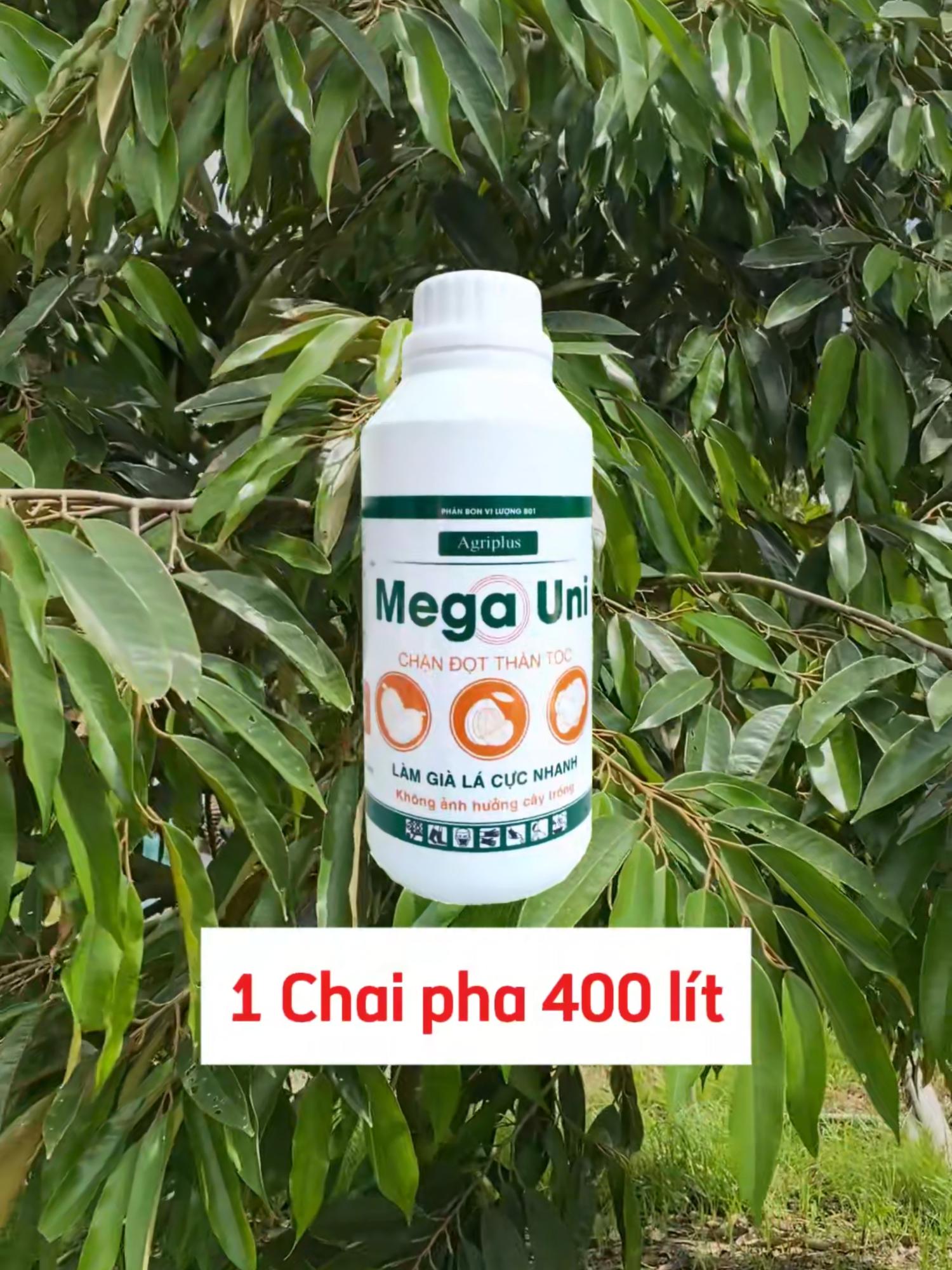 Mega Uni - Chặn đọt thần tốc, không rụng lá, không hại cây!#Phanbon #Thuocbvtv #shortvideo #Caytrong #Phanbonla #Saurieng