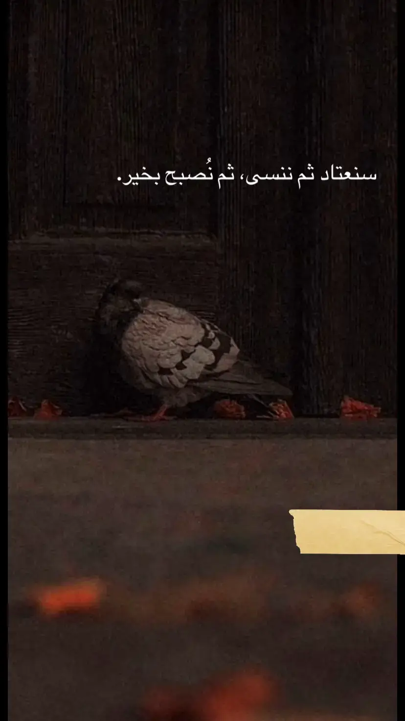 #عبارات #وقويه #جميلة #😉🖤 #عباراتكم_الفخمه📿📌 #قتباسات_عبارات_خواطر #صممولي_هاذ_الفيديو #تصميم_فيديوهات🎶🎤🎬 