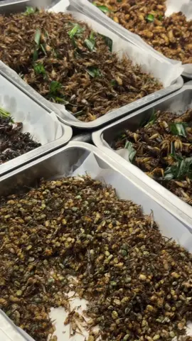 Fried insects #streetfood #thailand #tiktokfood 