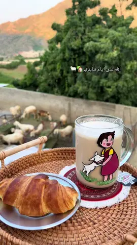 #ختبه #المجاردة_بارق_محايل #المجارده #هايدي 