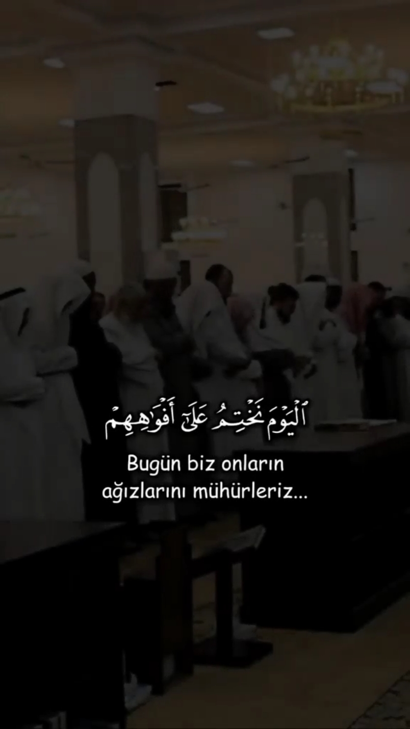 ياسر الدوسري صوت جميل